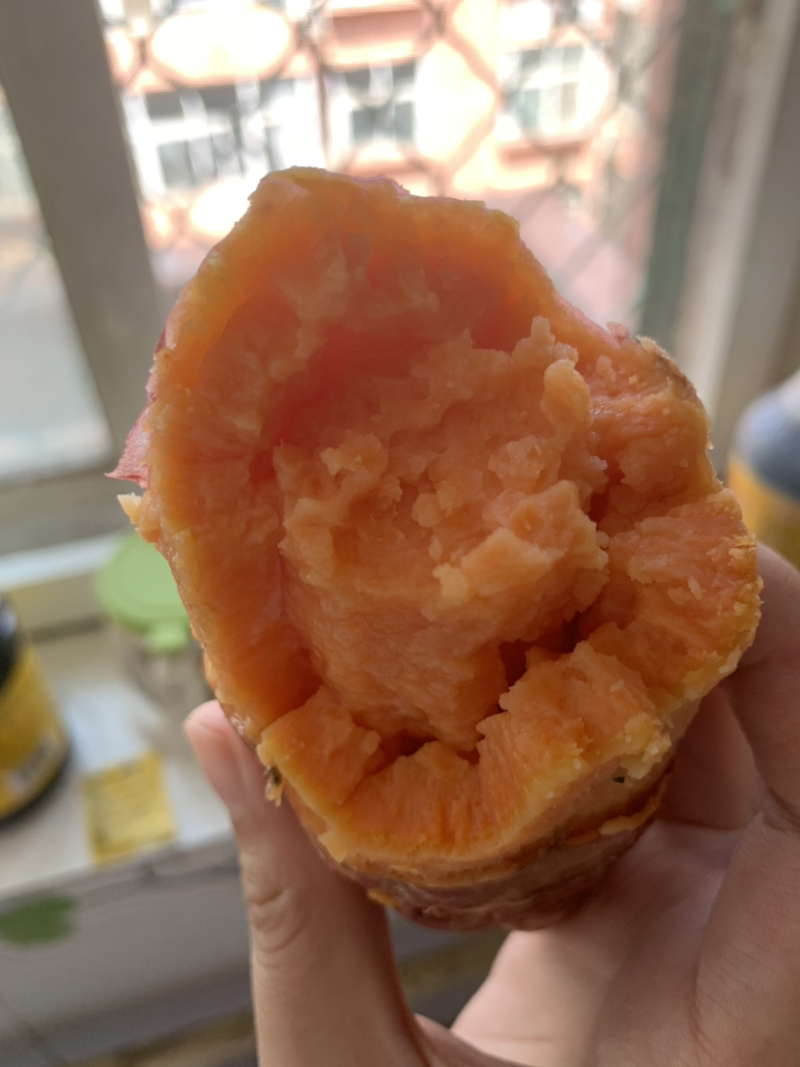 红薯