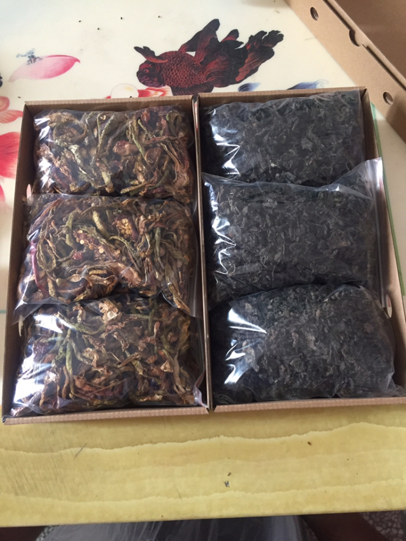 马齿苋