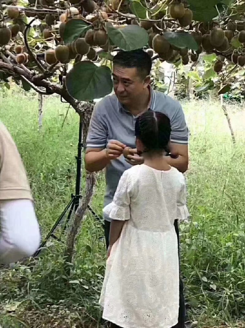 眉县徐香猕猴桃;