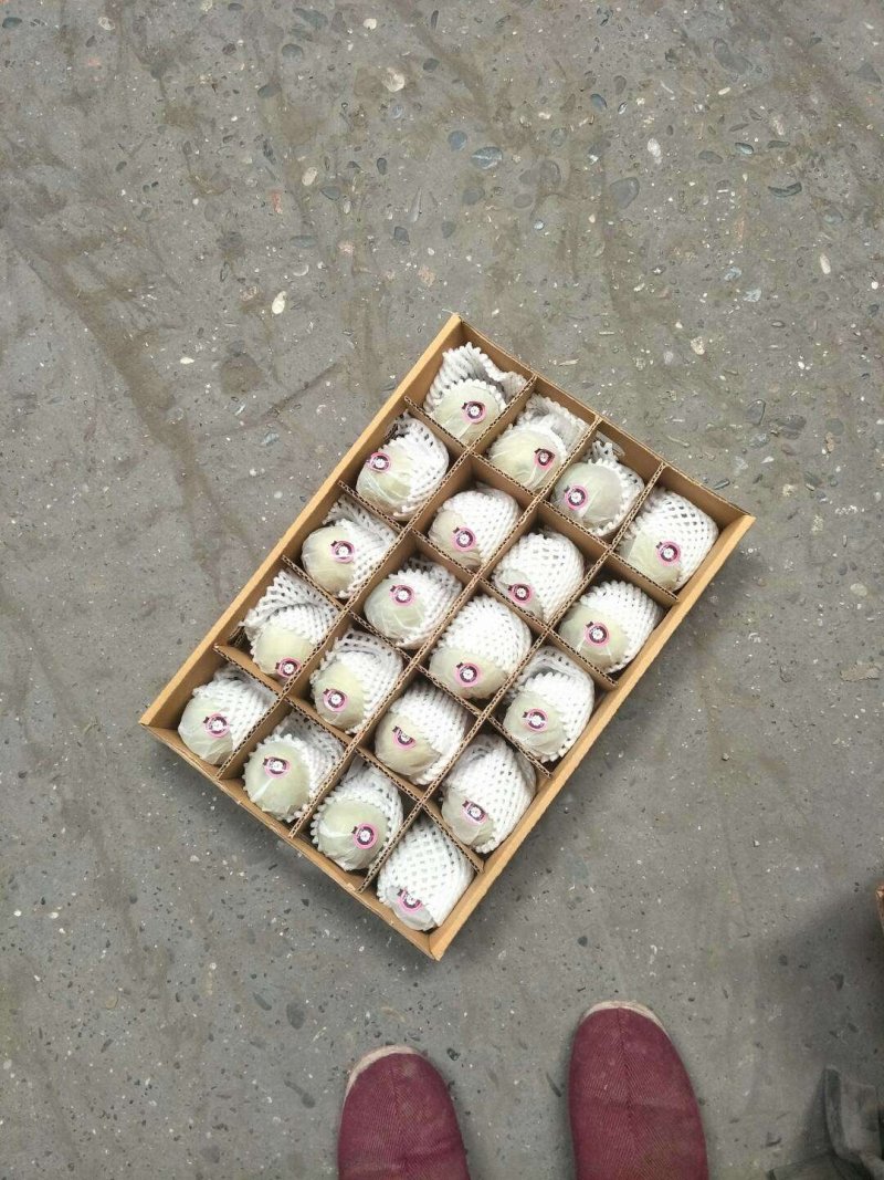 库尔勒香梨品质好皮薄多汁核小，优果多整车代发（诚信代办）