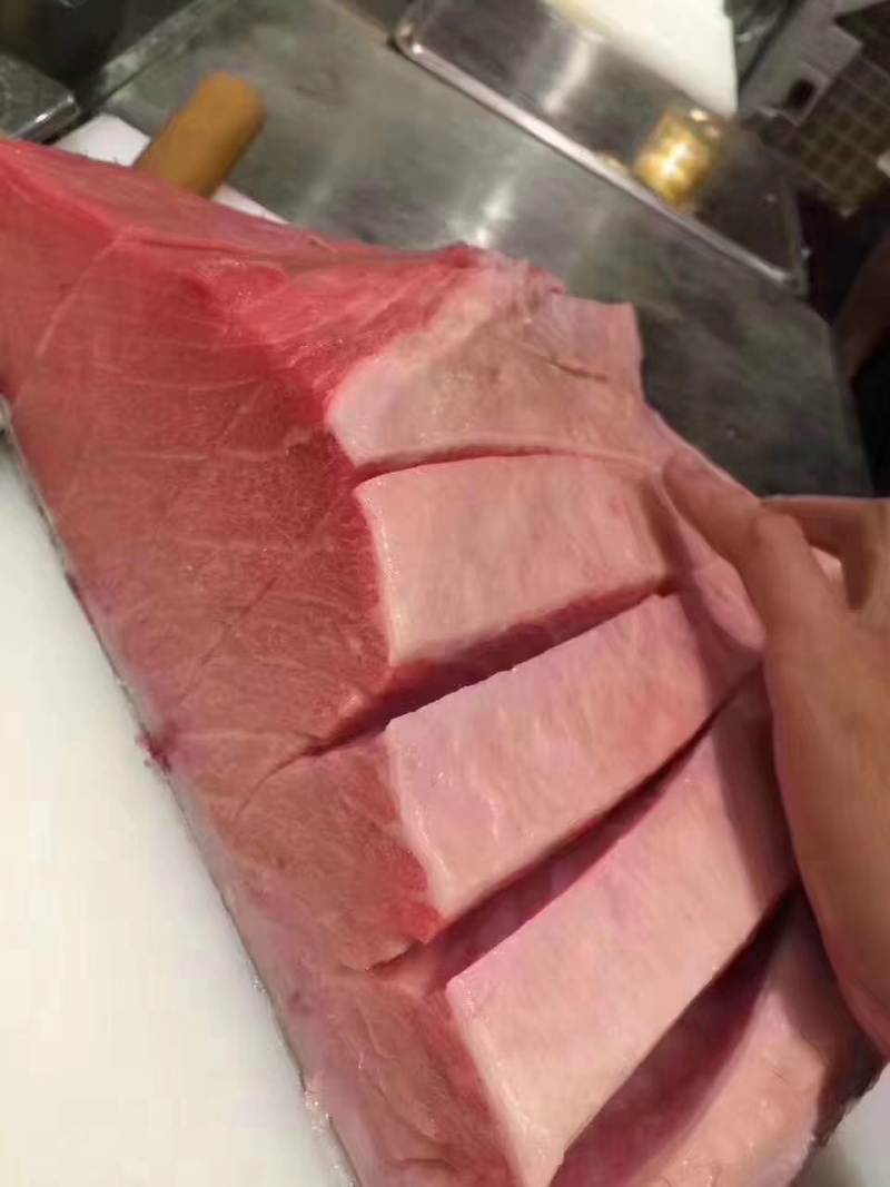 日本蓝鳍
