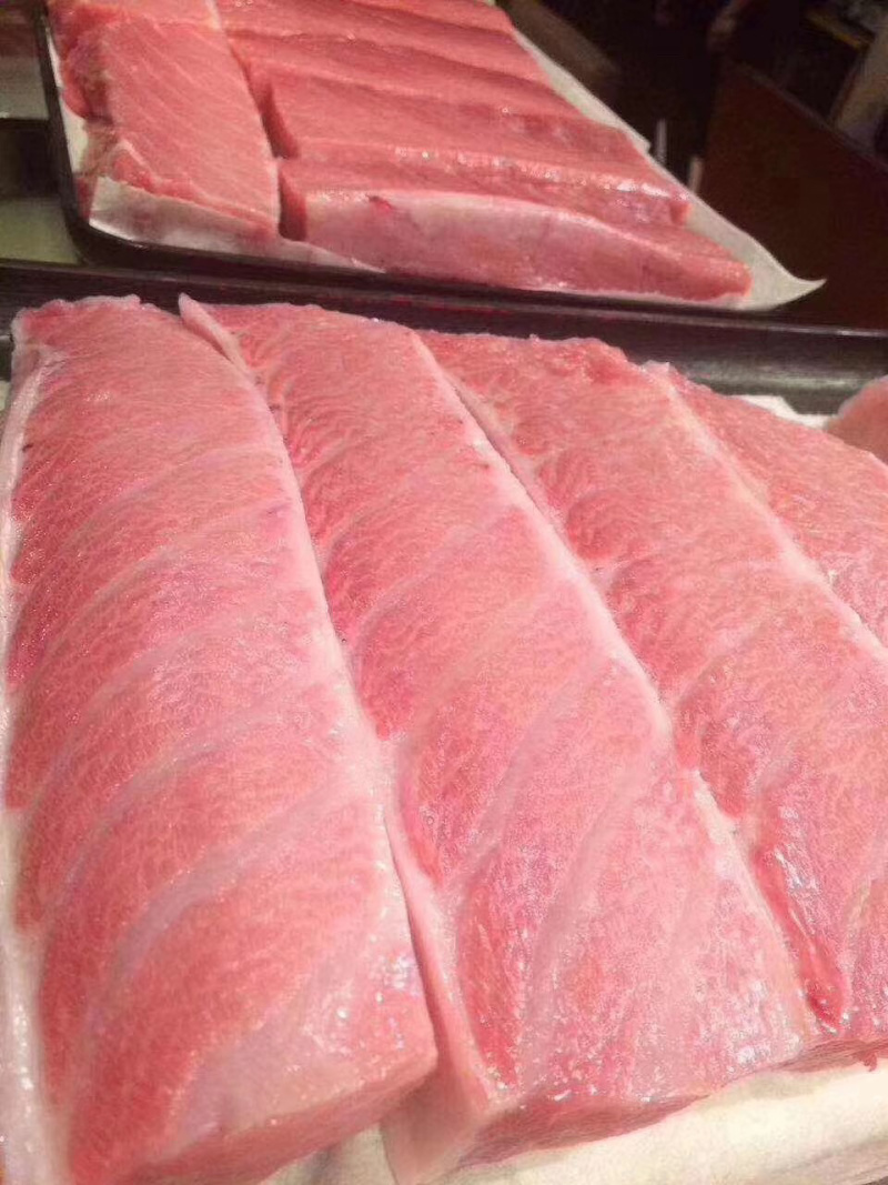 日本蓝鳍