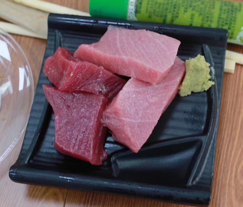 西班牙蓝鳍