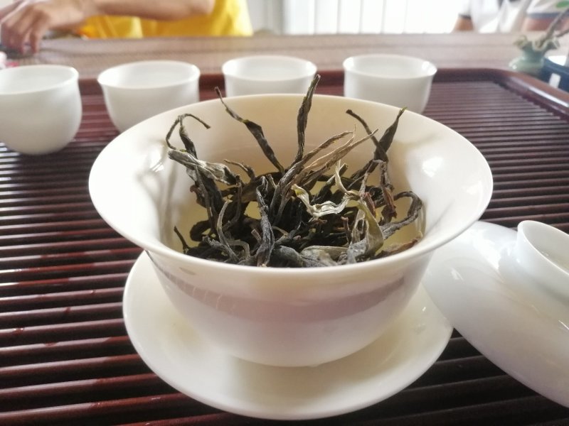 勐库大雪山秋茶