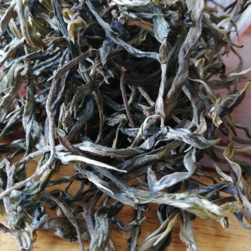 勐库大雪山秋茶