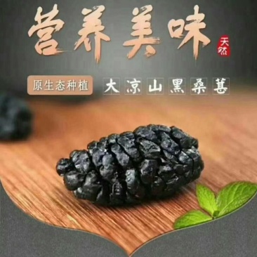 干桑葚