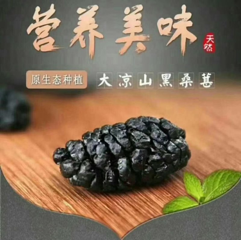干桑葚