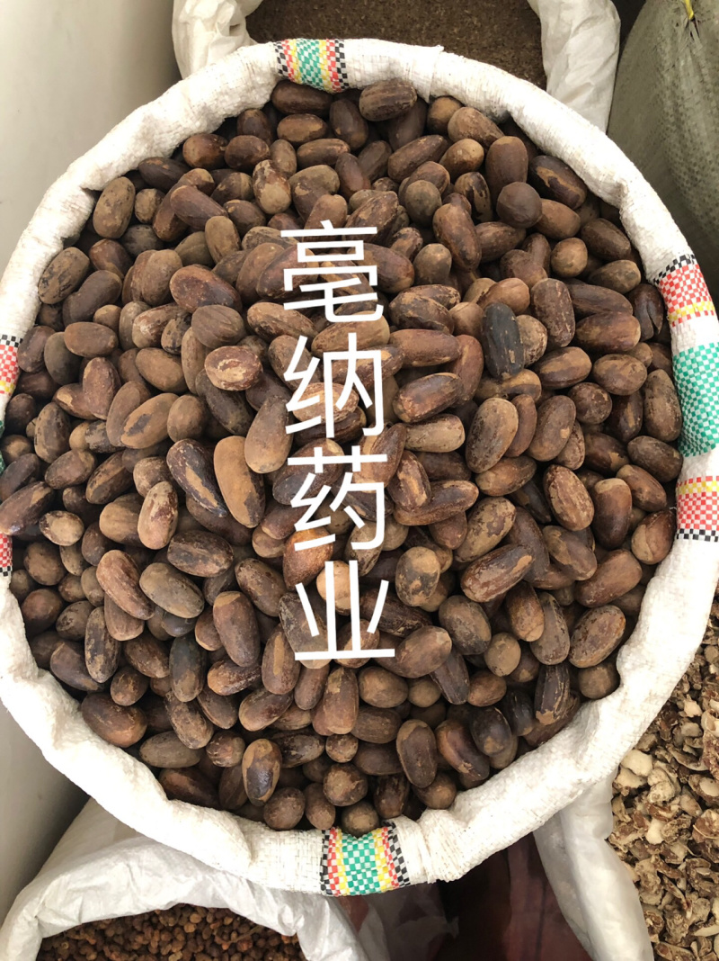 香料大全香果玉果长香果1公斤起批