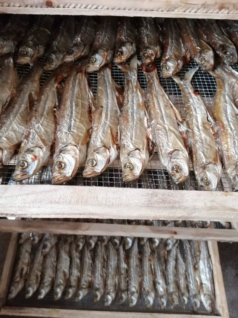 生态鱼干