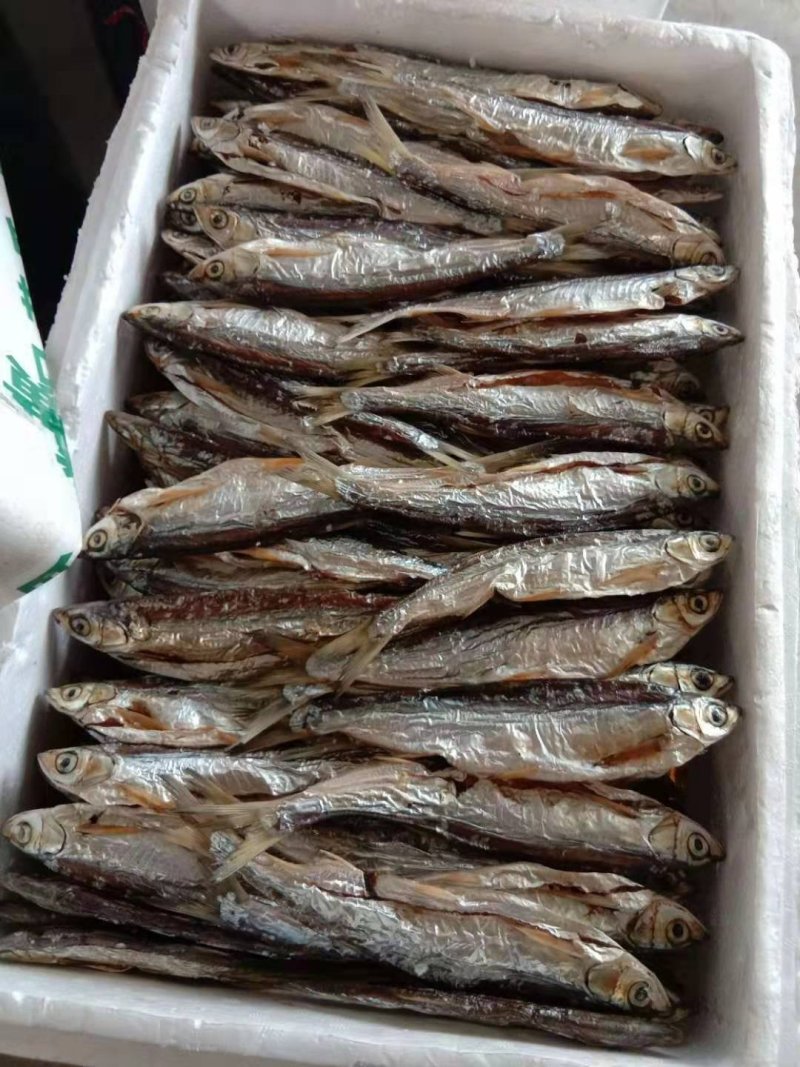 生态鱼干