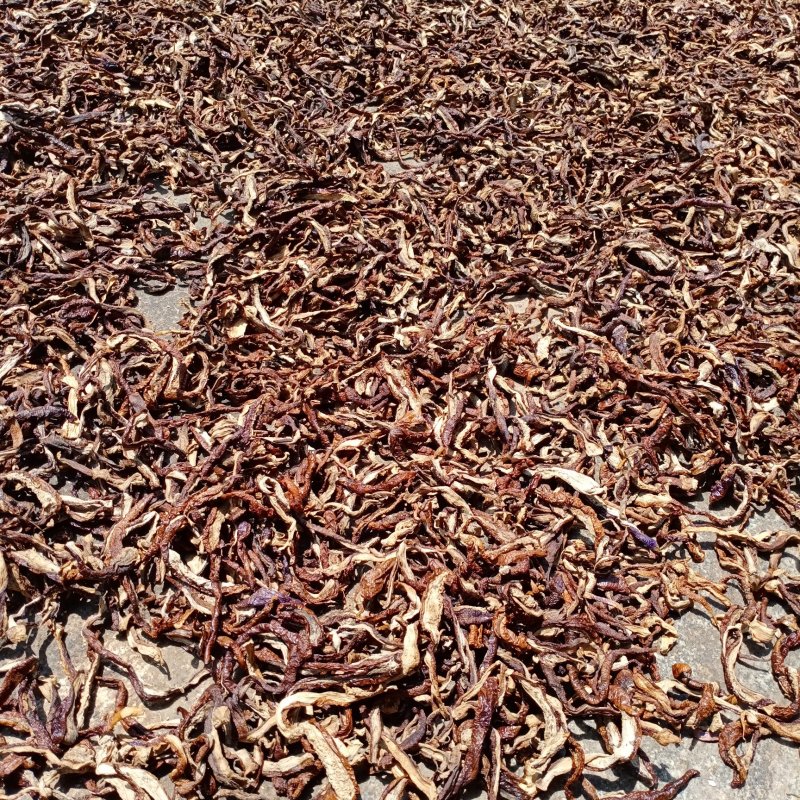 干茄子茄子干茄子条(糯米茄子)酱菜行业，学校食堂餐饮特产