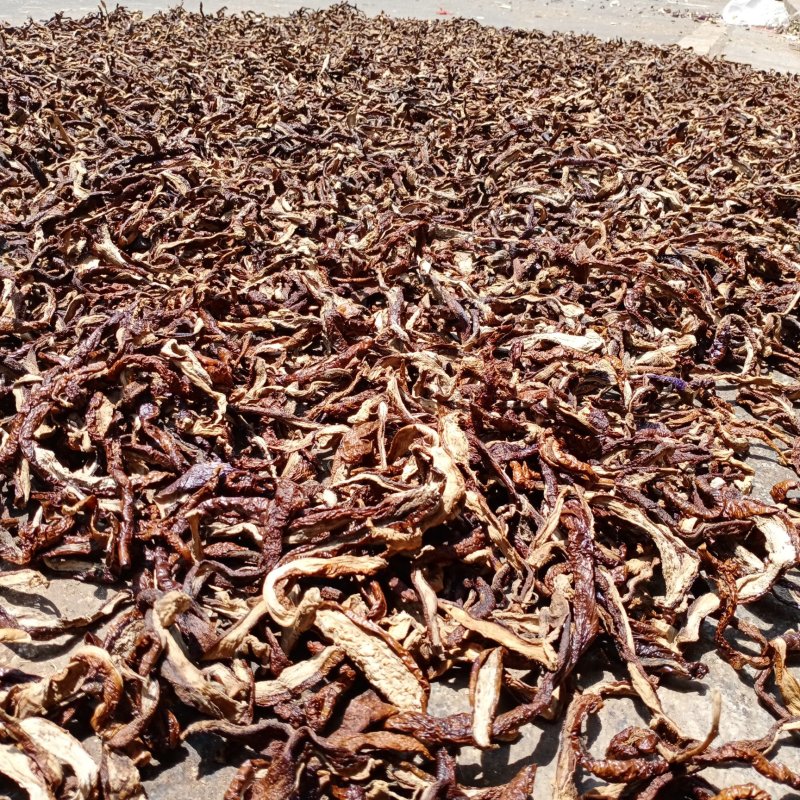 干茄子茄子干茄子条(糯米茄子)酱菜行业，学校食堂餐饮特产