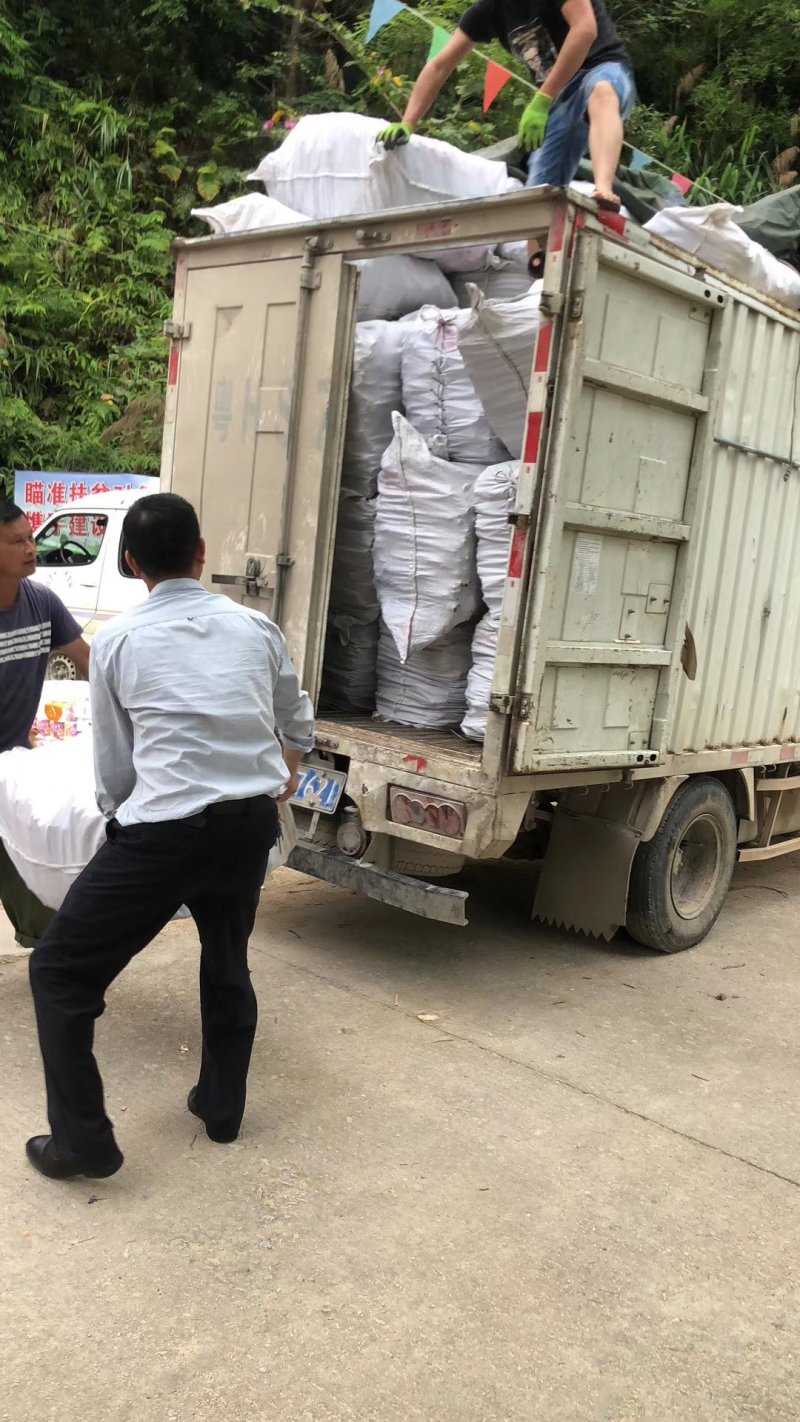 桂皮产地直供价格优惠