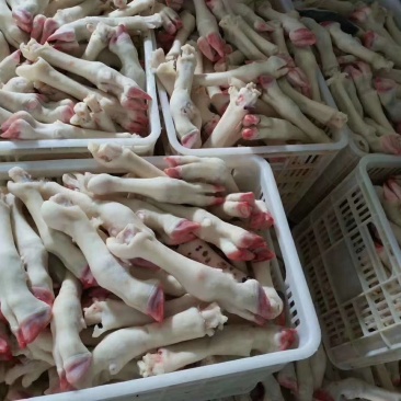 清真水退羊蹄，大中小号！证件齐全，质量优