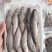 石头鱼