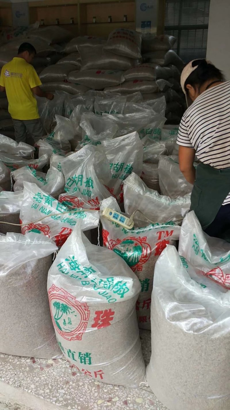 胡椒海南白胡椒颗粒饱满无杂质产地直供一件代发。