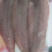 龙利鱼