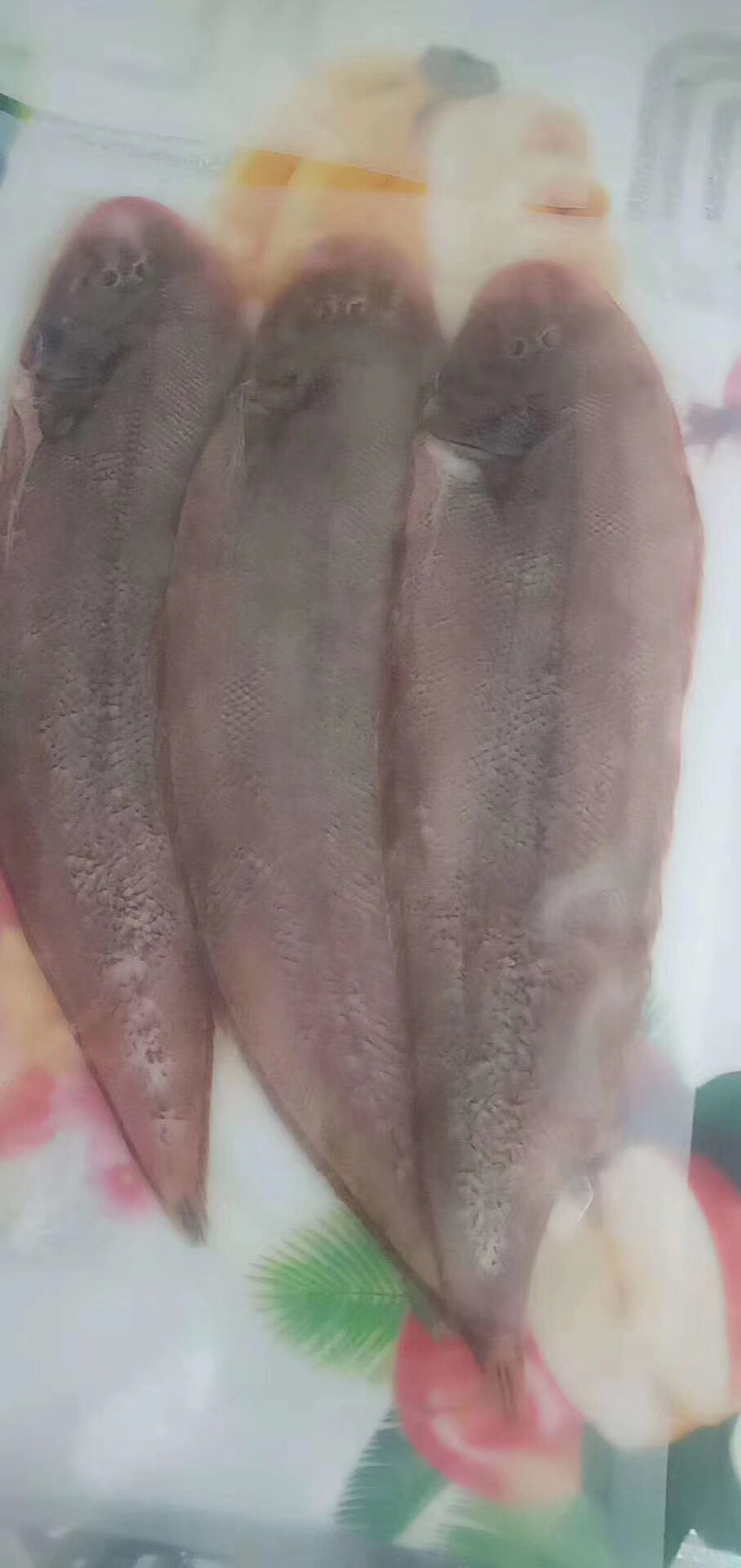 龙利鱼