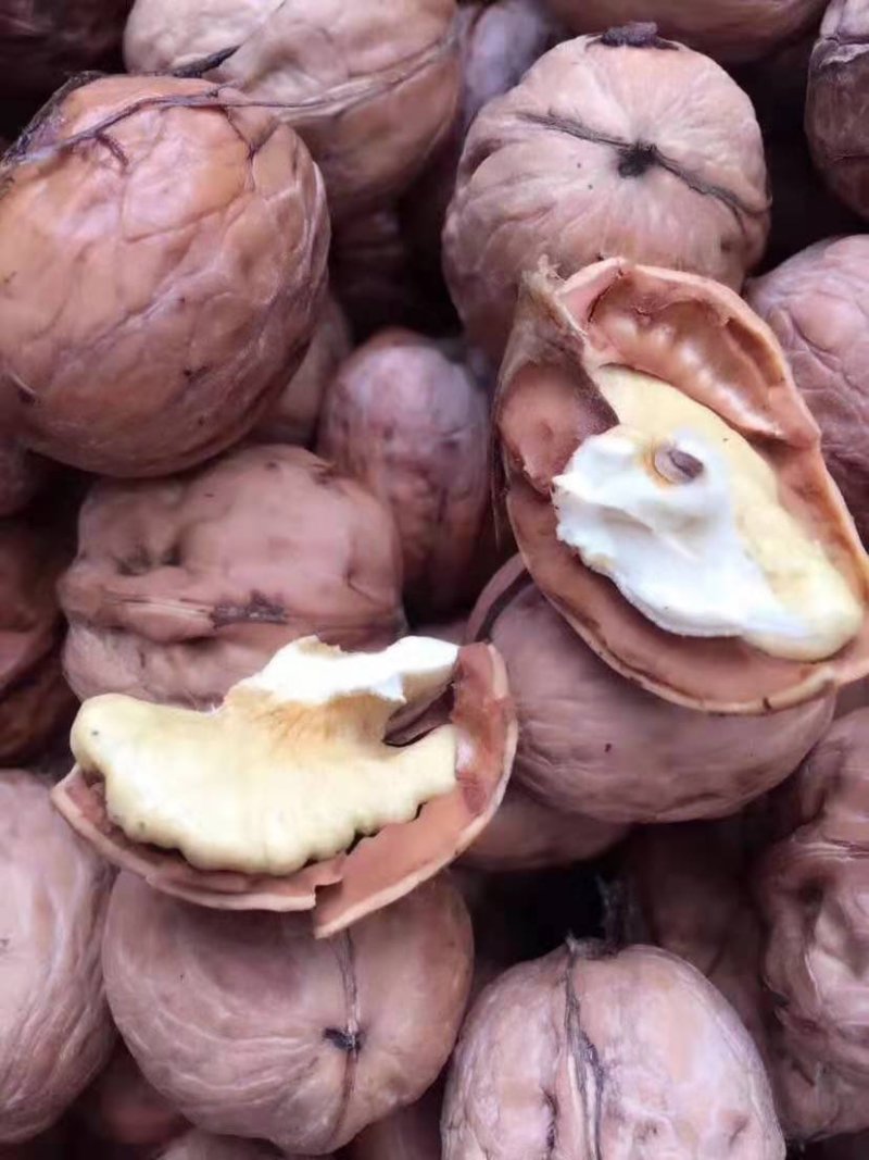 鲜核桃脱皮鲜核口感好籽仁饱满