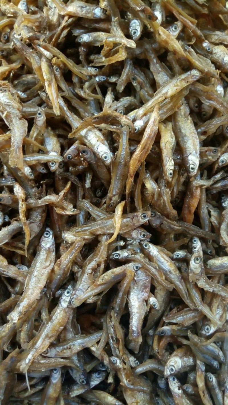 油炸鱼干白肖叼子翘白蓝刀油炸小鱼干小鱼仔鱼干无盐鱼干