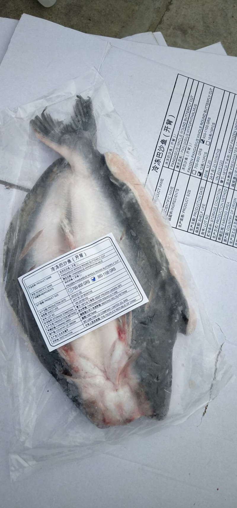 惠州巴沙鱼批发惠州进口越南巴沙鱼销售惠州发货巴沙鱼