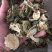 【苦瓜干】苦瓜干选片物美价廉产地直供