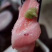 超低温TORO