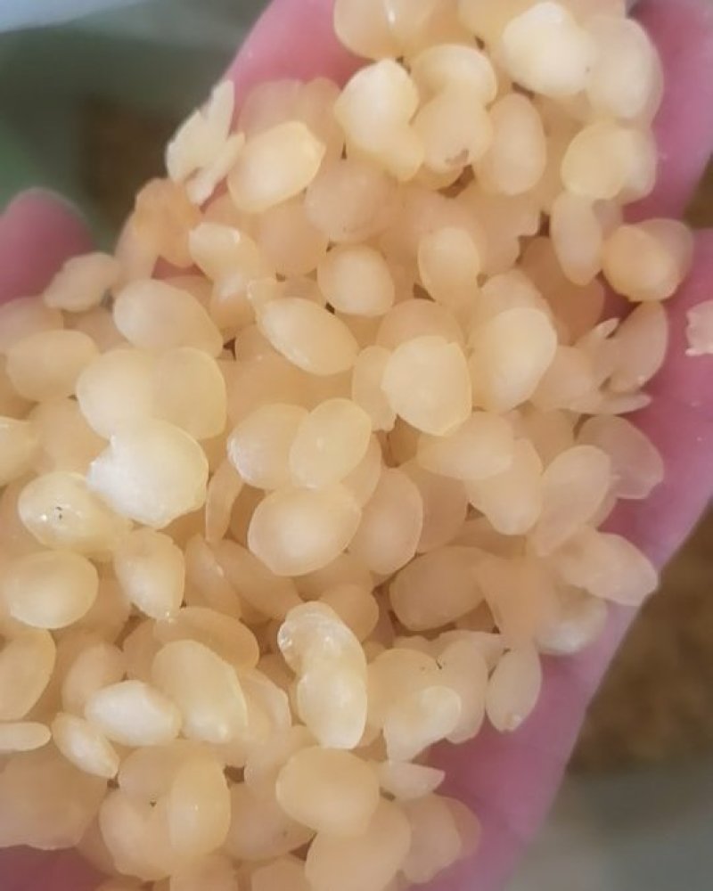 云南皂角米雪莲子天然皂角米500克桃胶搭配