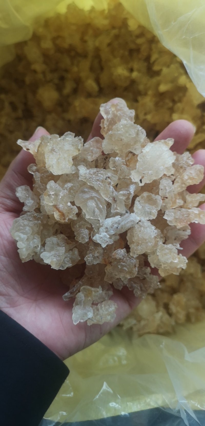 雪燕云南天然野生拉丝雪燕500克非燕窝补水