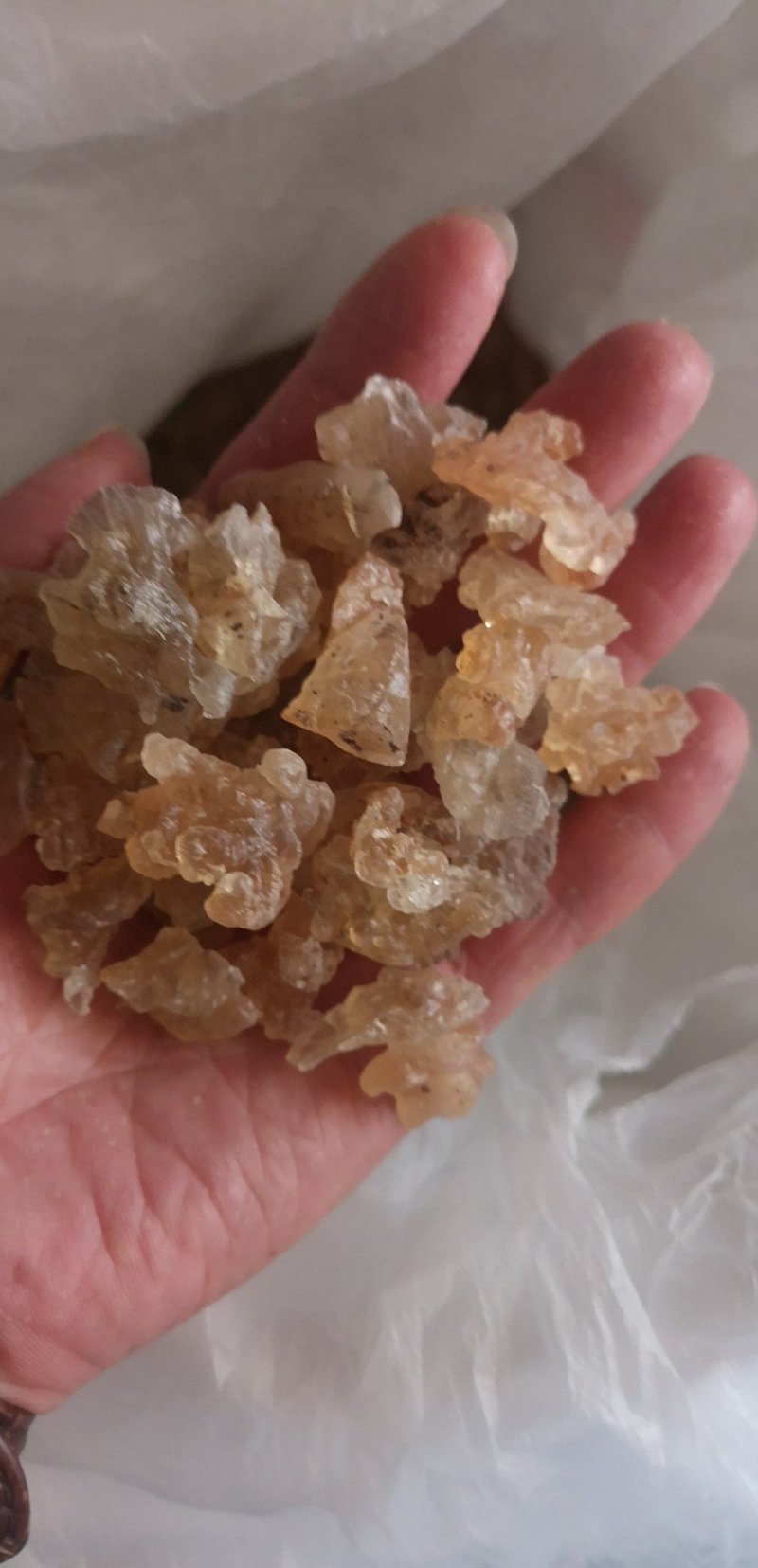 雪燕云南天然野生拉丝雪燕500克非燕窝补水