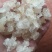 雪燕云南天然野生拉丝雪燕500克非燕窝补水