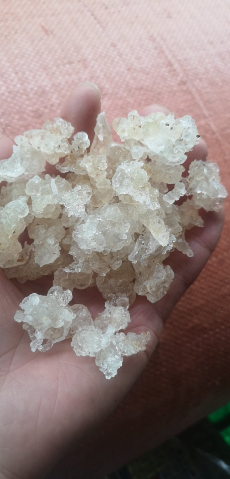 雪燕云南天然野生拉丝雪燕500克非燕窝补水