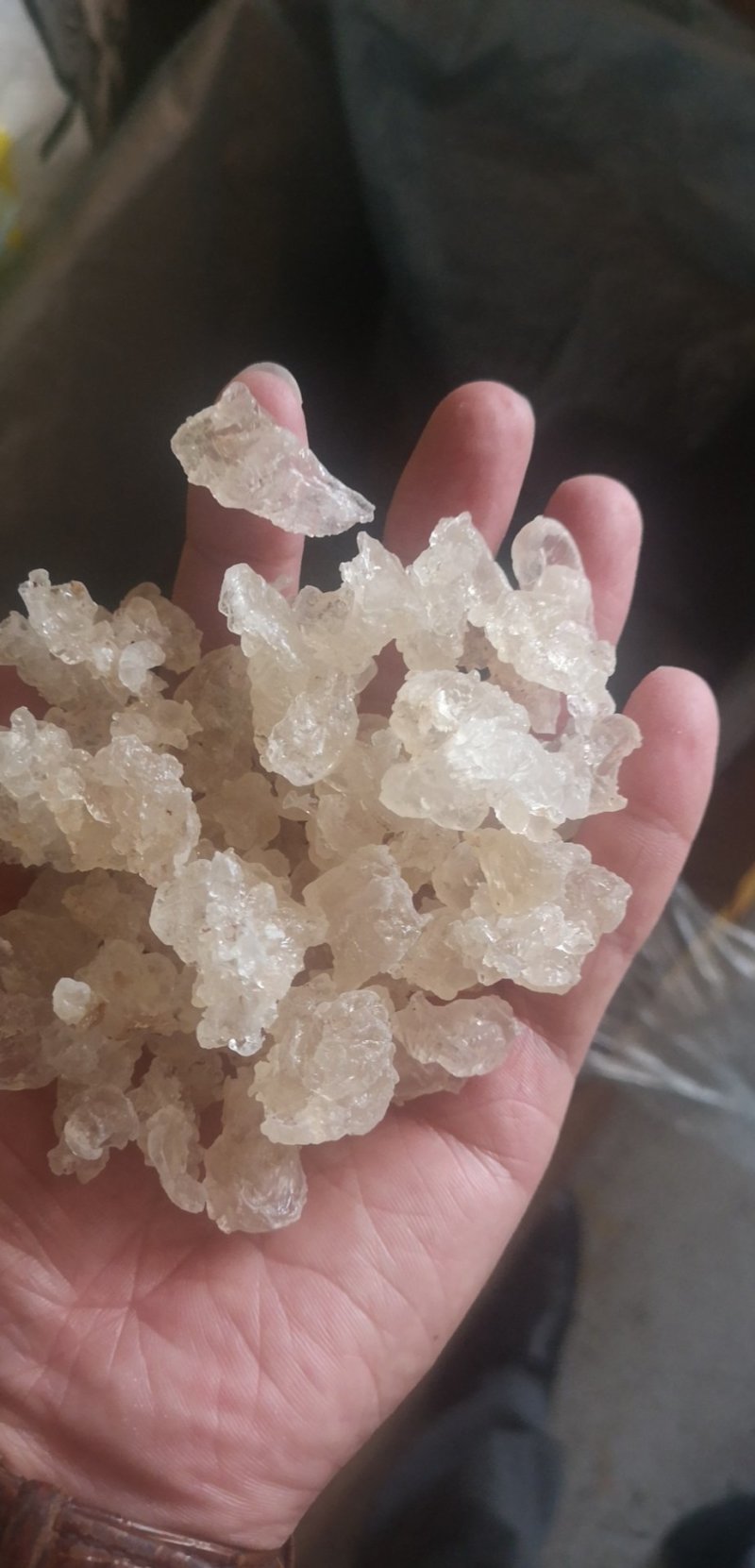雪燕云南天然野生拉丝雪燕500克非燕窝补水