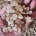 雪燕云南天然野生拉丝雪燕500克非燕窝补水