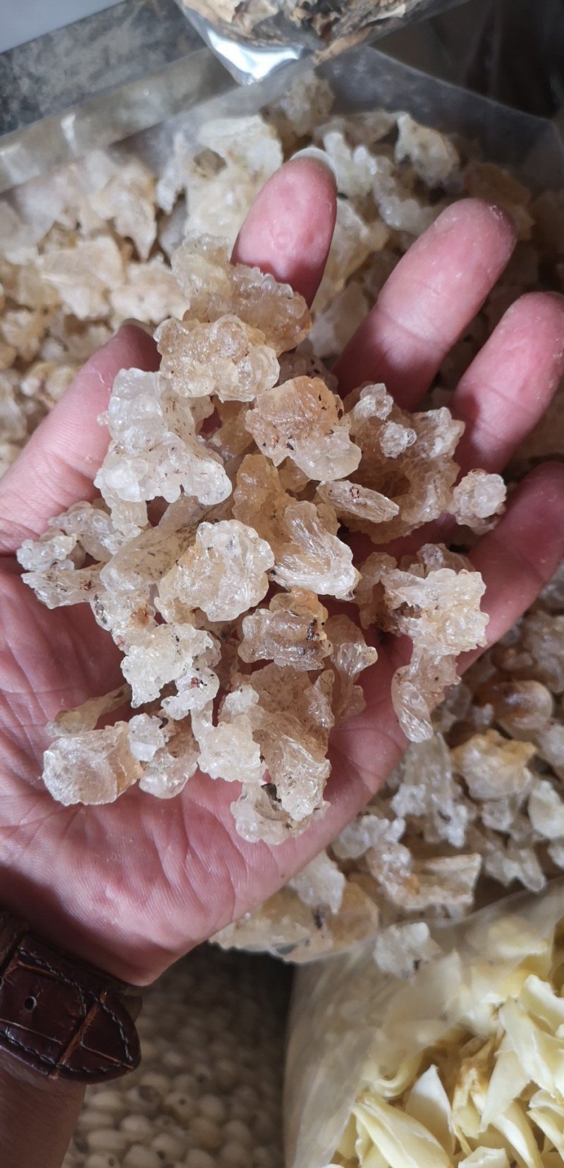 雪燕云南天然野生拉丝雪燕500克非燕窝补水