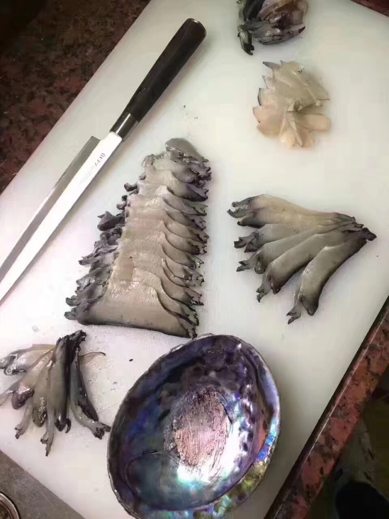 新西兰黑金鲍