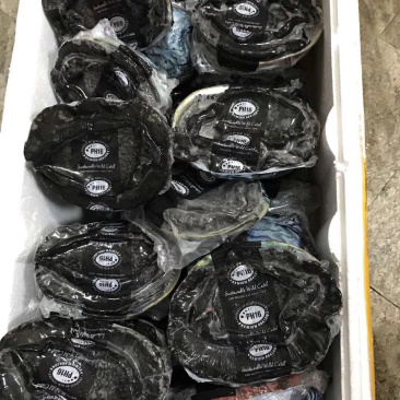 新西兰无壳熟冻鲍鱼肉刺身佳品