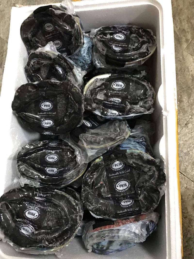 新西兰无壳熟冻鲍鱼肉刺身佳品
