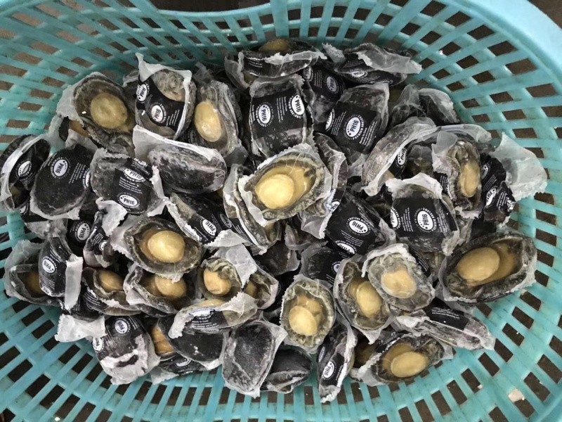 新西兰无壳熟冻鲍鱼肉刺身佳品