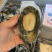 新西兰无壳熟冻鲍鱼肉刺身佳品