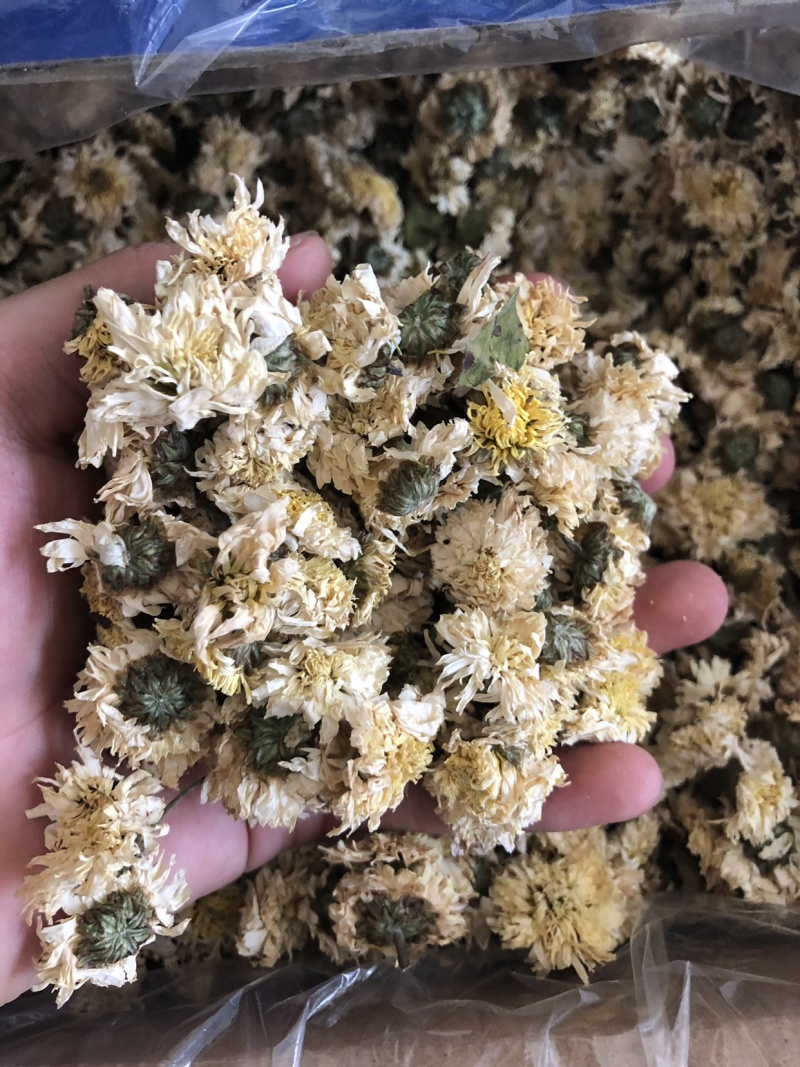 【舜波中药材】正品黄山贡菊量大从优