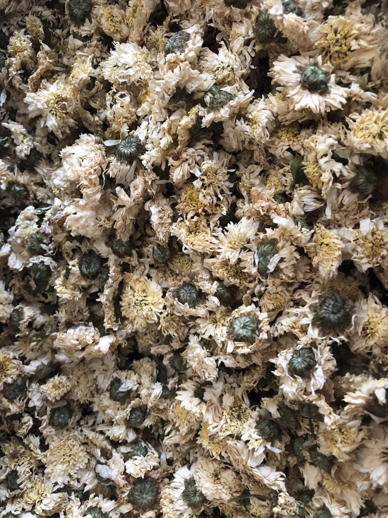 【舜波中药材】正品黄山贡菊量大从优