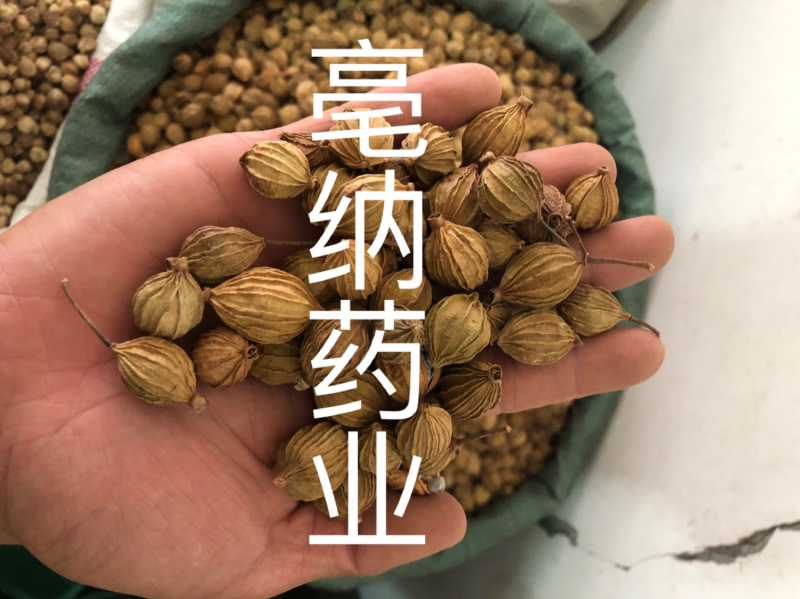 香砂新货过筛无米1公斤起批大货批发