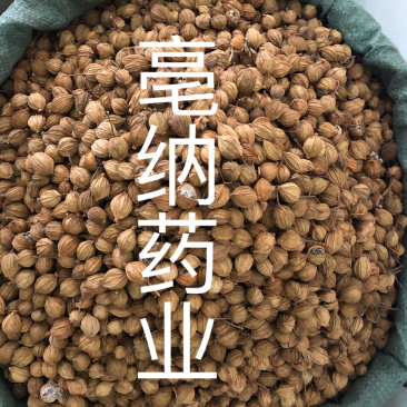 香砂新货过筛无米1公斤起批大货批发