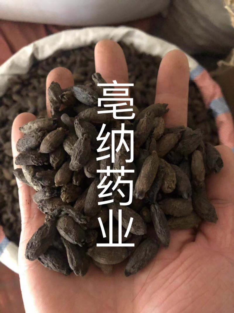 香料大全母丁香好货实物拍摄母丁香大货批发