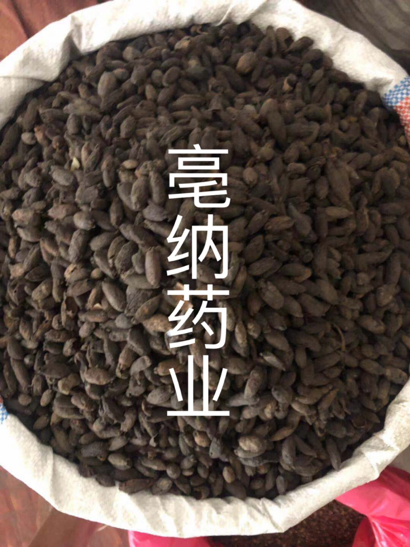 香料大全母丁香好货实物拍摄母丁香大货批发