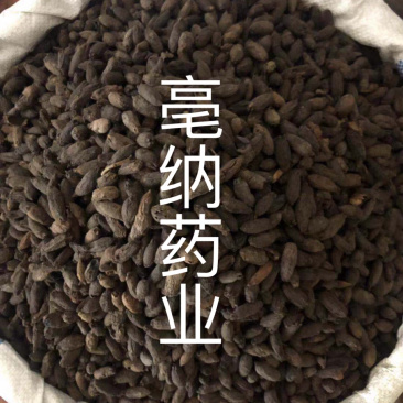 香料大全母丁香好货实物拍摄母丁香大货批发