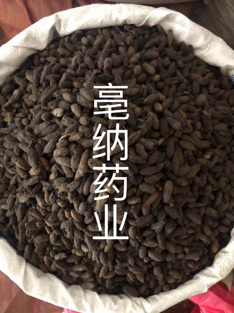 香料大全母丁香好货实物拍摄母丁香大货批发