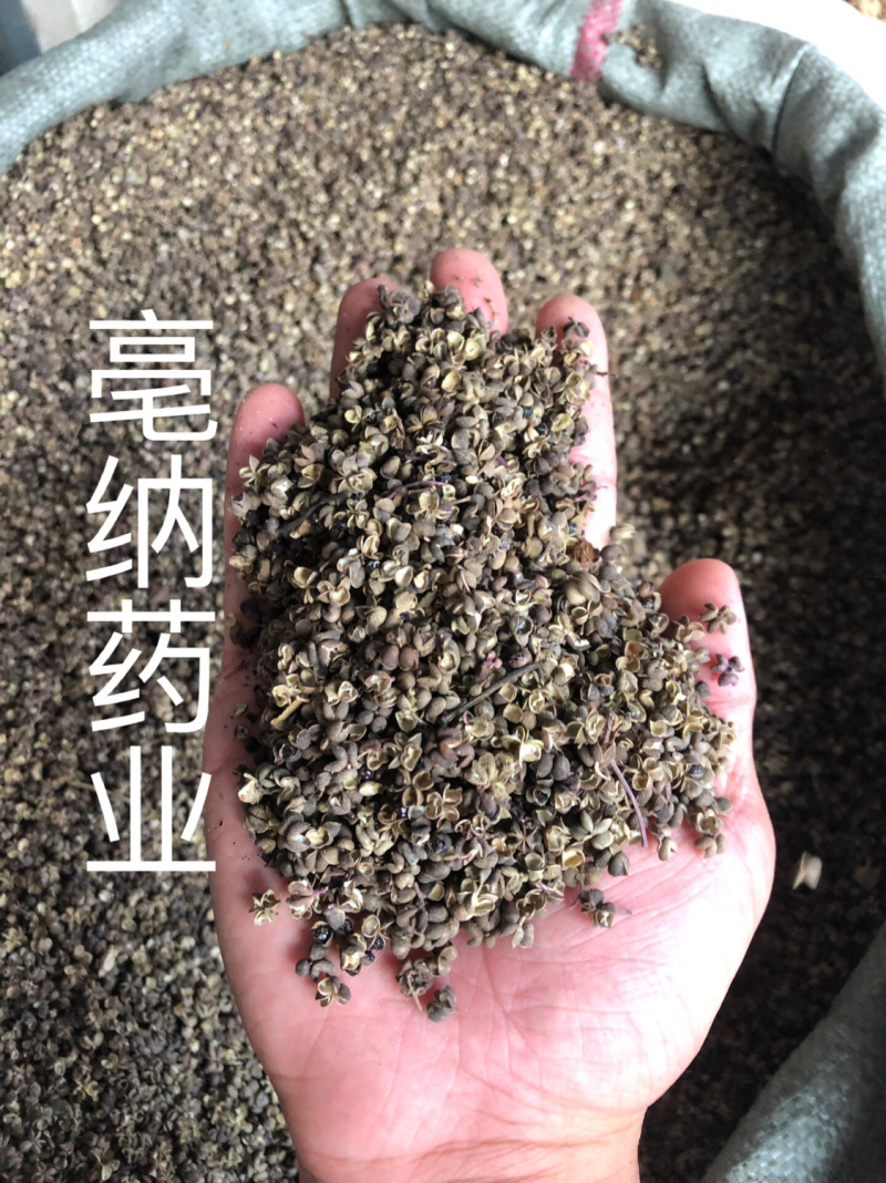 中药材川椒药用川椒川花椒1公斤起批泡脚药用
