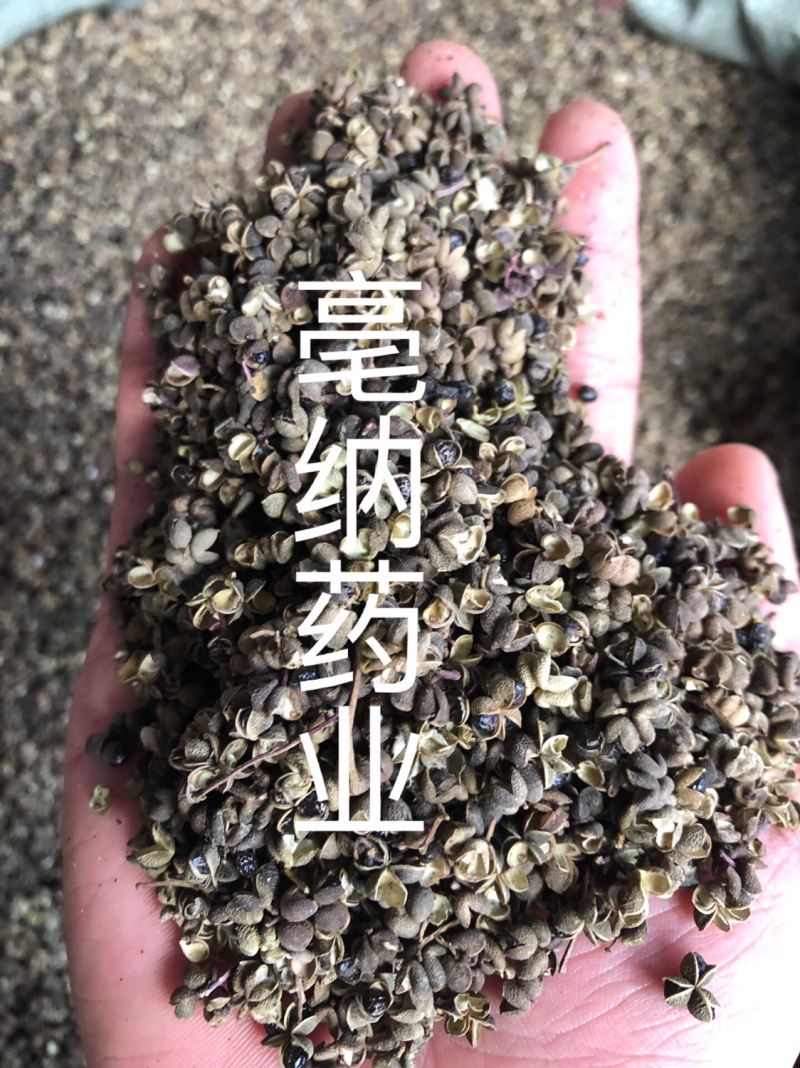 中药材川椒药用川椒川花椒1公斤起批泡脚药用
